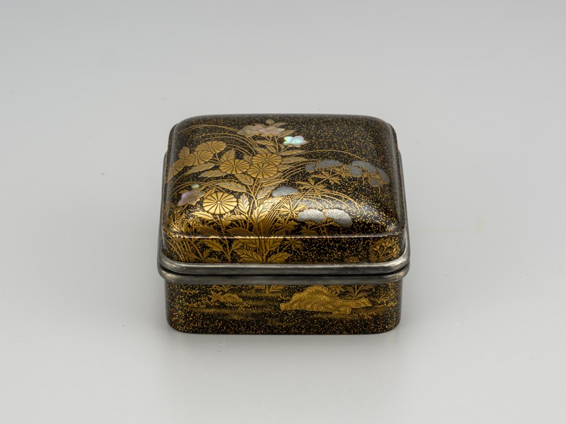 C660d55b fc80 43ee a015 4c54193edaf0 md